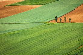 land